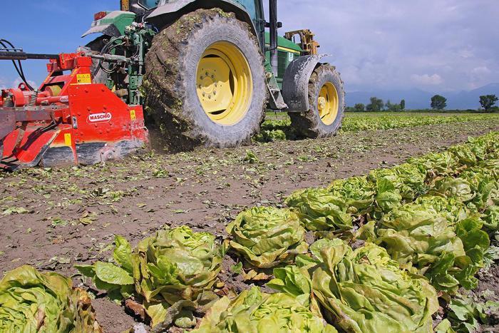 L'agricoltura è la svolta obbligata