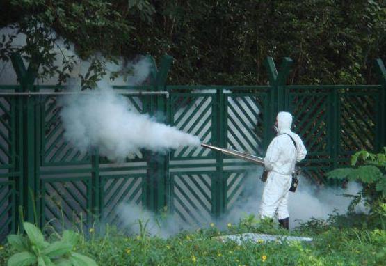 Scatta l’allerta dengue ma è falso allarme 