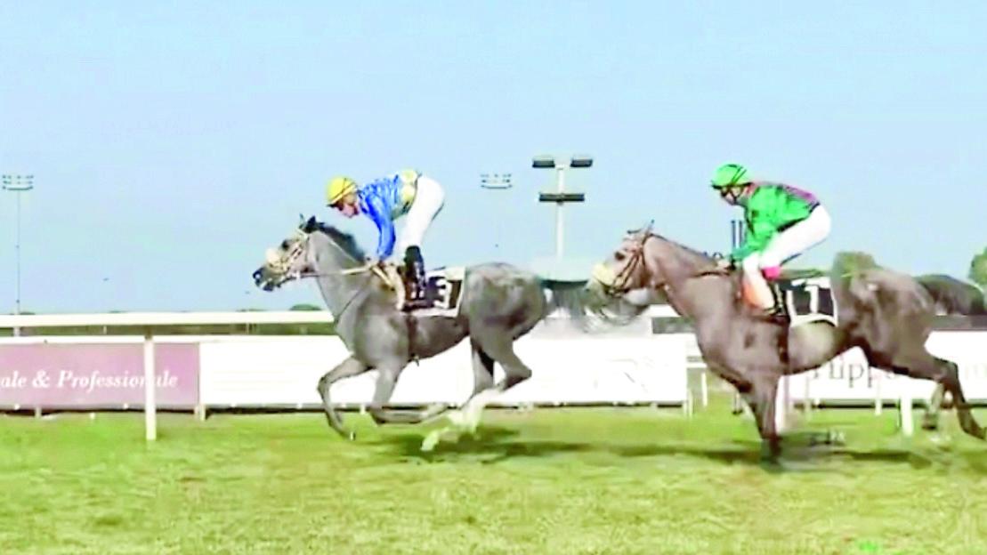 Un cavallo sardo entra nella storia, la listed delle Capannelle è sua