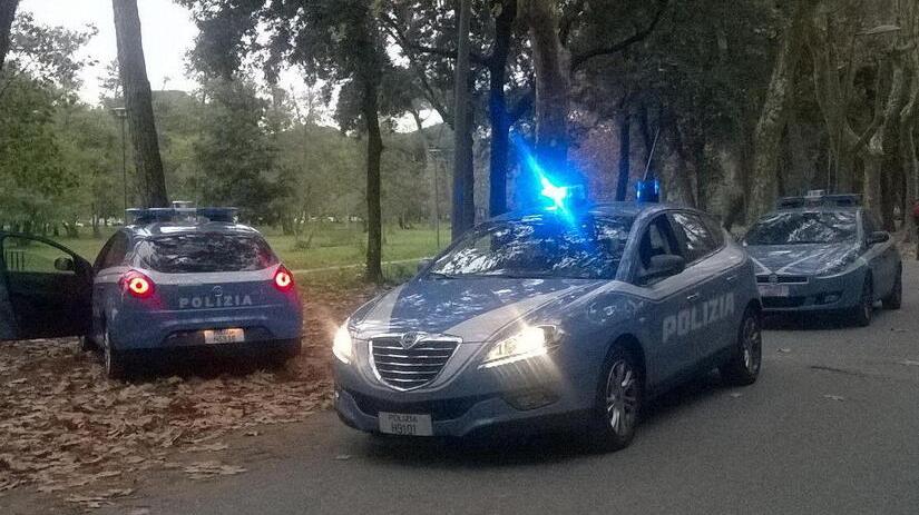 Volanti della polizia in pineta