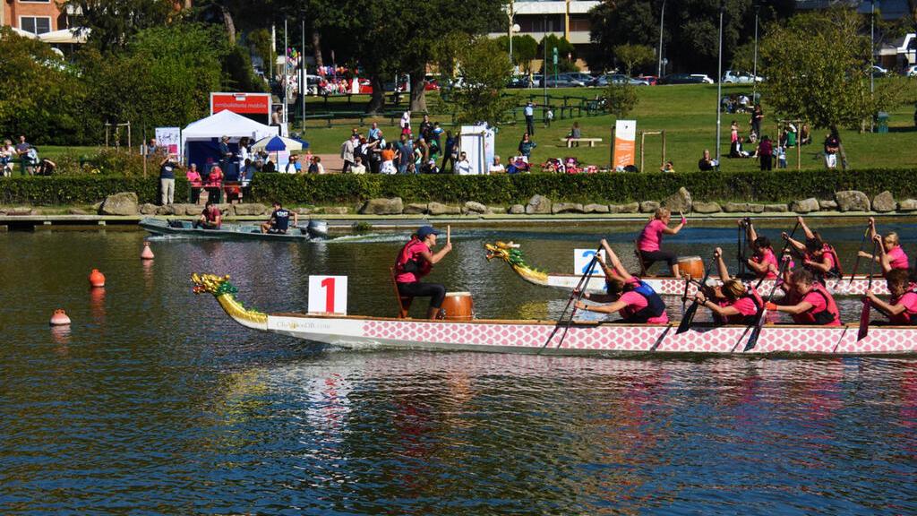 Dragon Boat Festival, a remi contro cancro e cardiopatie