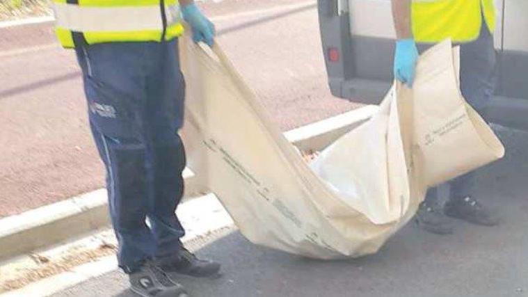 Resti umani in un campo “Ai Passi”: l’ipotesi suicidio prevale sull’omicidio