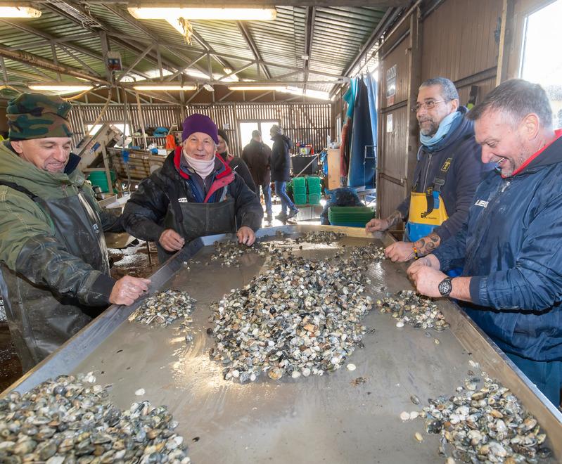 Goro, i gusci di cozze e vongole “lavorano” per l’ambiente