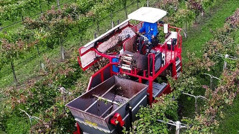 Modena. Lambrusco, per il futuro si deve puntare sul Doc