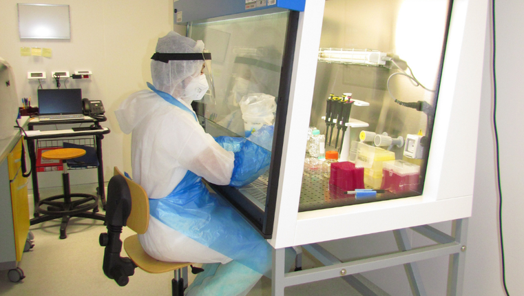 Coronavirus, boom di guariti: nel Ferrarese sono 411