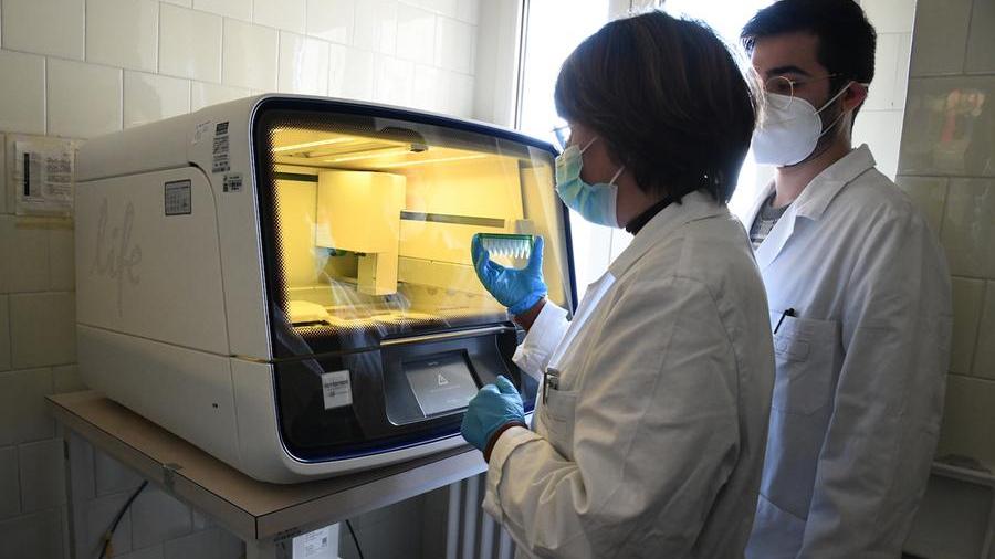 Covid, primi casi in Sardegna di Cerberus e di un’altra rara variante