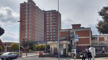 Cade da cavallo durante un’escursione: 25enne di Illorai grave in ospedale a Nuoro