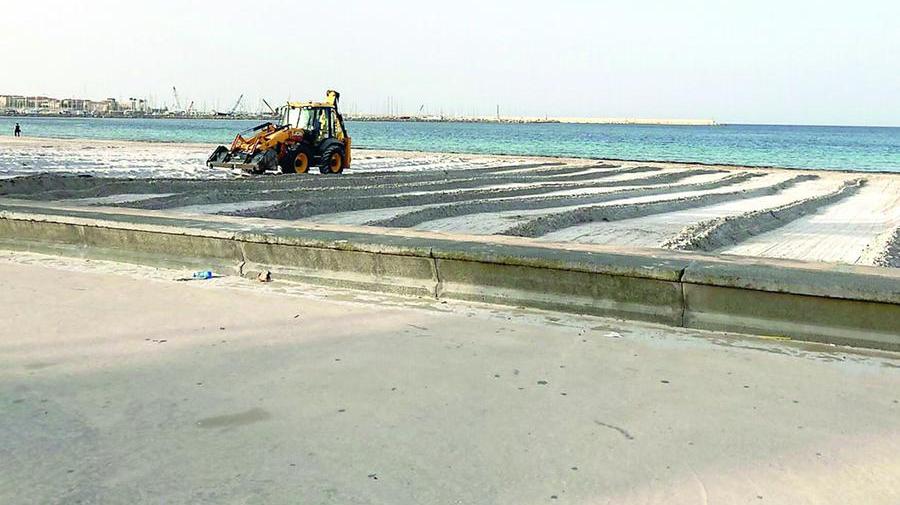 Ogni cento camion di posidonia trasportata al centro di Quartu la metà torna indietro carica di “oro bianco” che, viene rimesso su tutto il litorale