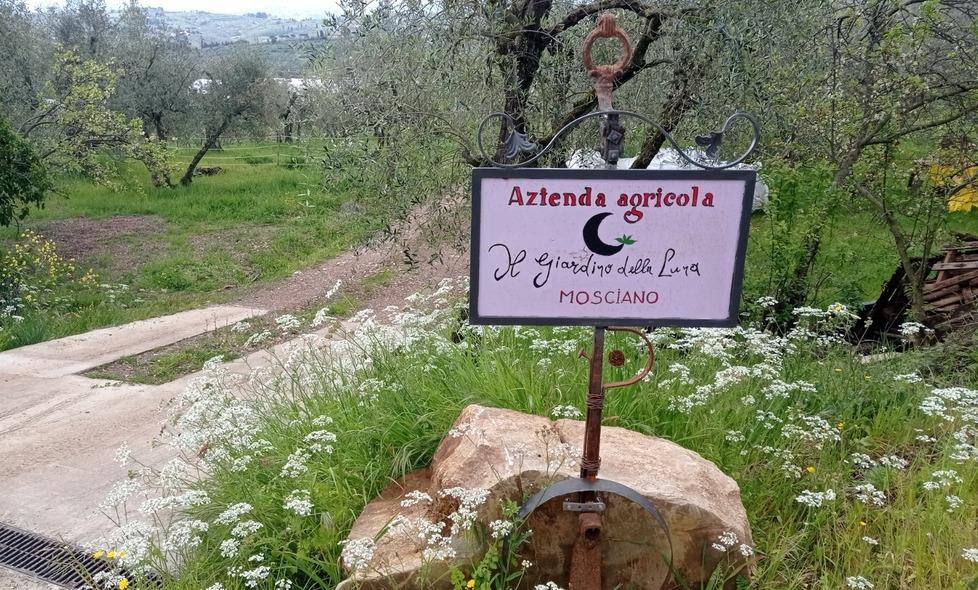 Scandicci, blitz dei ladri nell’azienda agricola: “Sulle colline c’è una banda che ruba trattori”