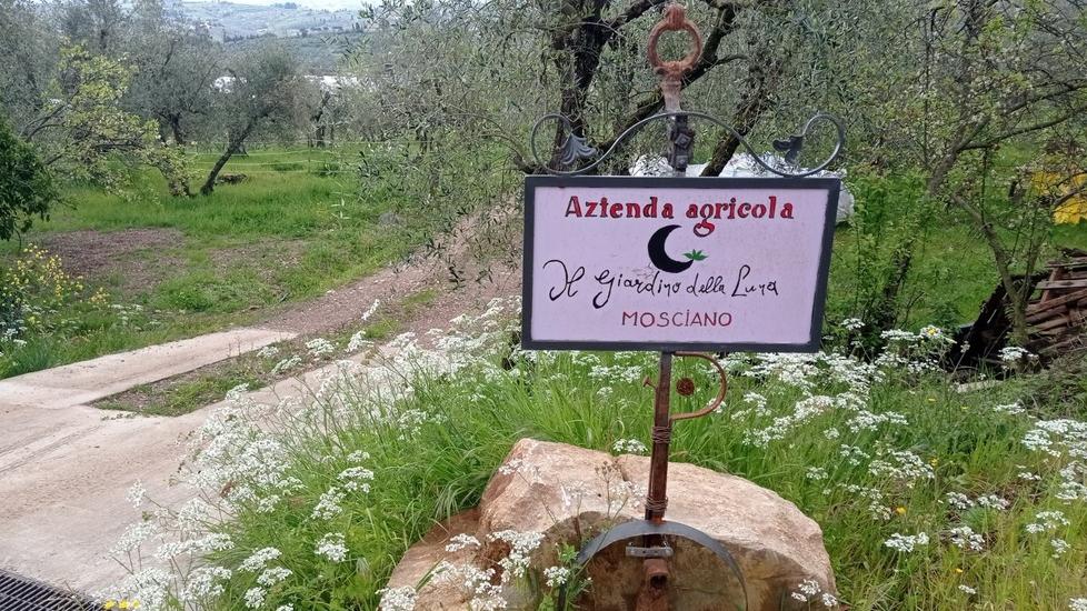 Scandicci, blitz dei ladri nell’azienda agricola: “Sulle colline c’è una banda che ruba trattori”