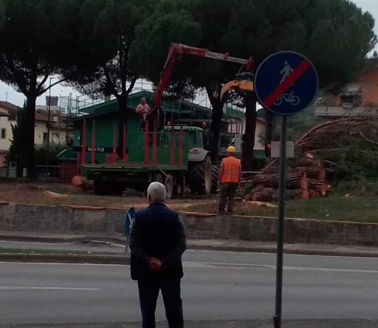 La rimozione del verde pubblico nell’area di sosta a lato strada