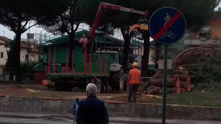 La rimozione del verde pubblico nell’area di sosta a lato strada