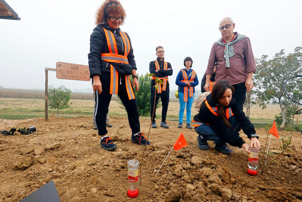Nasce il Rifugio nel Bosco Mutti, casa per le rondini