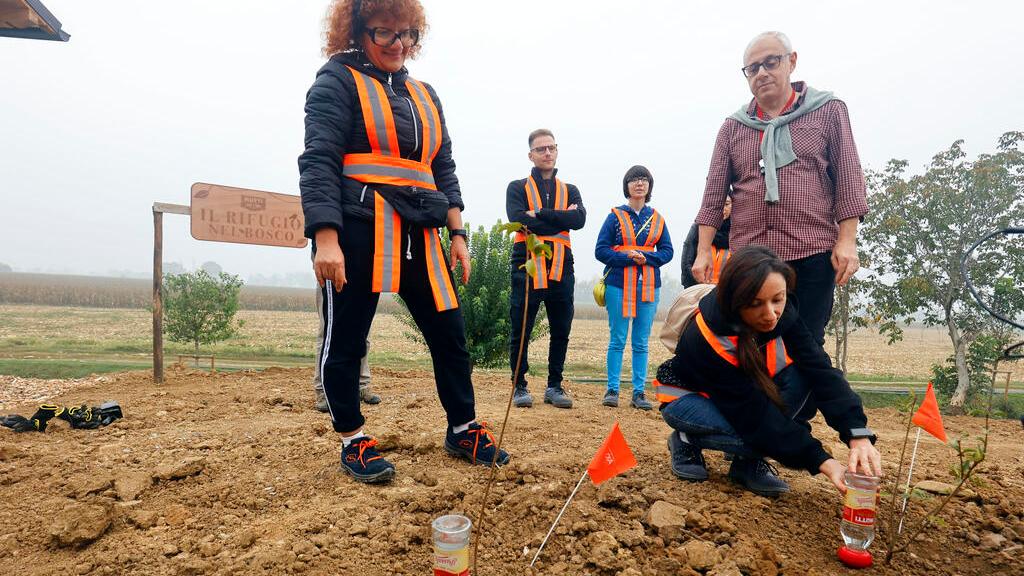 Nasce il Rifugio nel Bosco Mutti, casa per le rondini