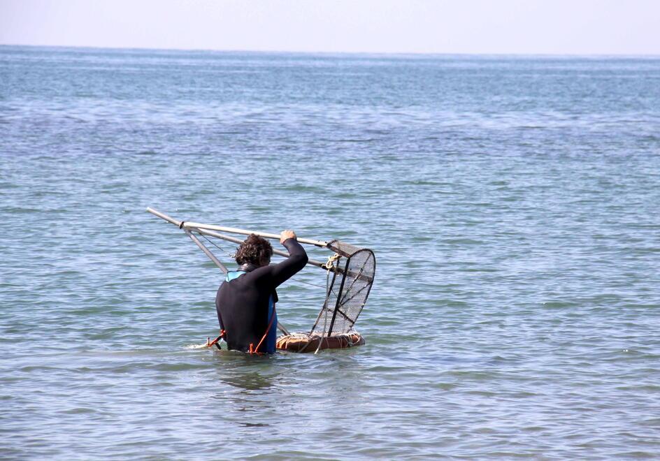 Mare inquinato in Versilia, contaminate le arselle: le misure disposte dall’Asl