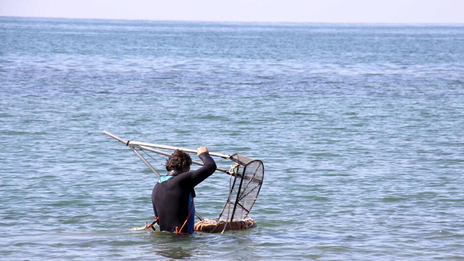 Mare inquinato in Versilia, contaminate le arselle: le misure disposte dall’Asl