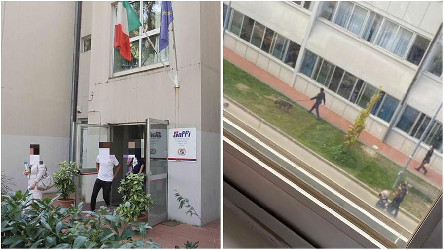 Firenze, i ragazzi denunciano i compagni e scattano i controlli con i cani antidroga