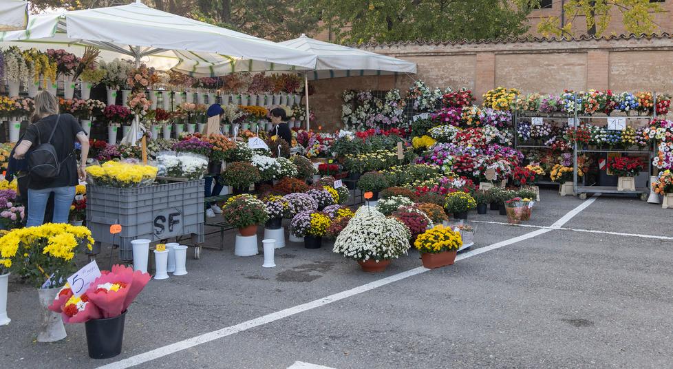 Modena. «Anche i fiori costeranno di più Colpa del rincaro sull’energia»