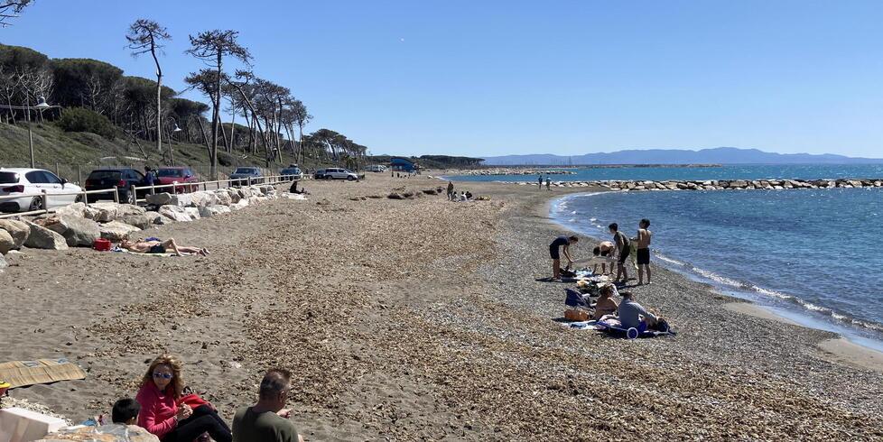 Le alghe sulla spiaggia alle Gorette