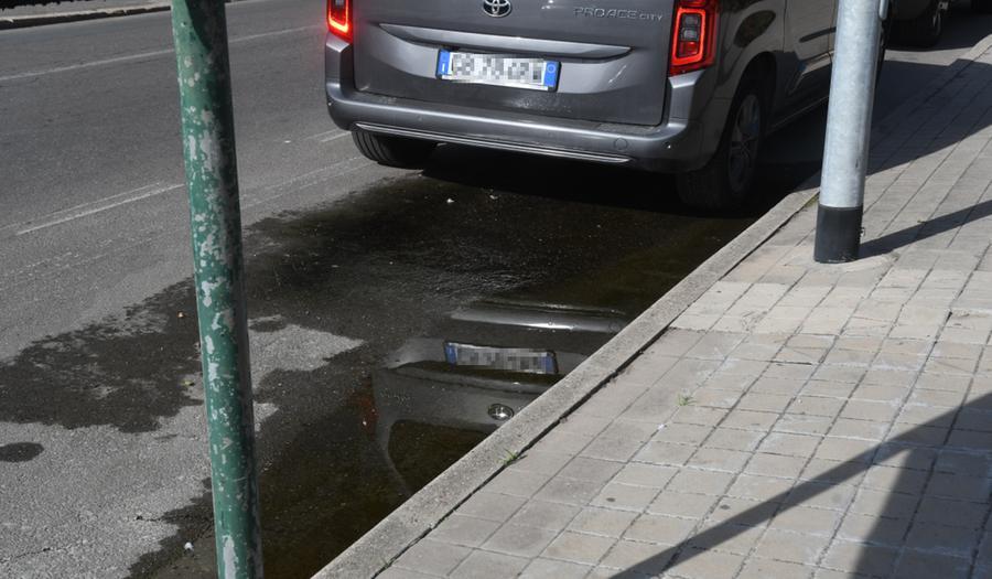 
	La perdita di acqua o liquami in viale Diaz

