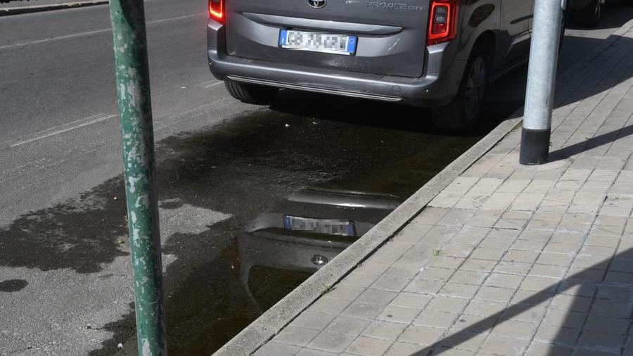 La perdita di acqua o liquami in viale Diaz