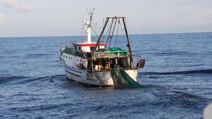 Imbarcazione con le reti da pesca a strascico nei mari della Sardegna (archivio)