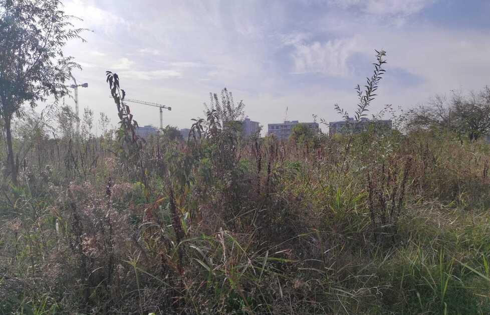Modena. Furti senza tregua spaccio e degrado Vaciglio non ci sta 