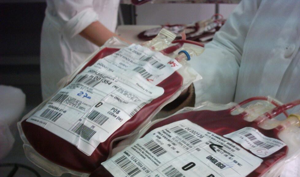 Mamma coraggio a Olbia: «Chiedo solo che mio figlio possa fare qui le trasfusioni»