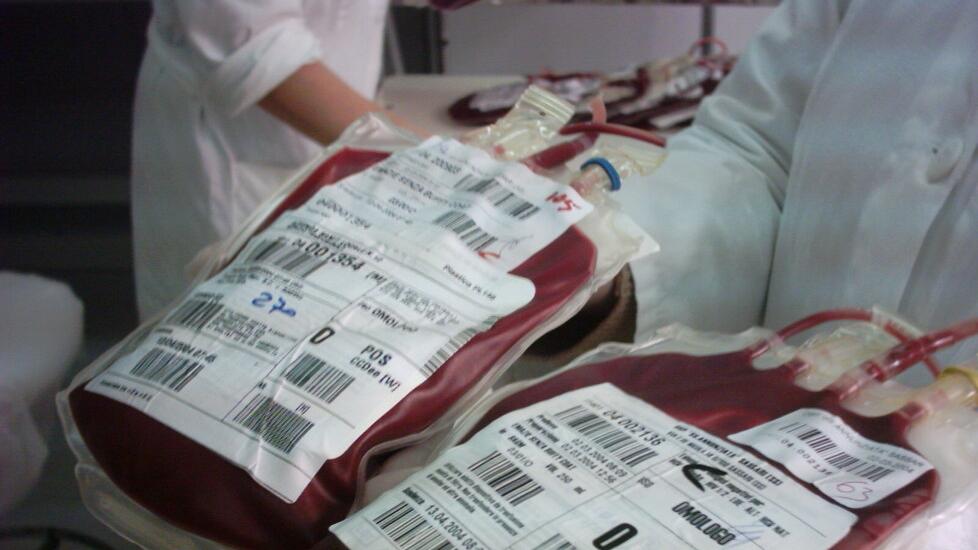 Mamma coraggio a Olbia: «Chiedo solo che mio figlio possa fare qui le trasfusioni»