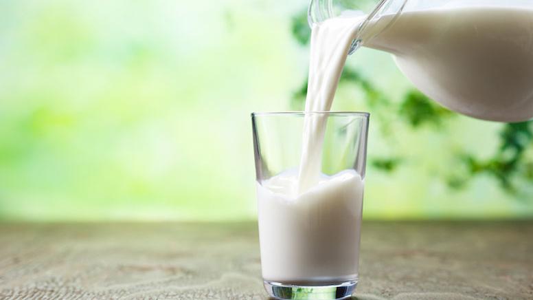 Latte e florovivaismo, denunce su contratti e acquisti sottocosto