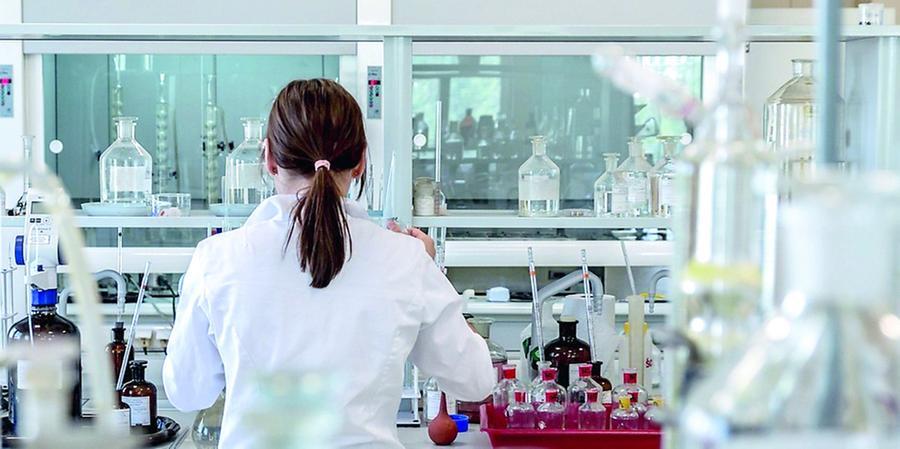 Nove ricercatori dell’Università di Sassari tra i migliori scienziati al mondo