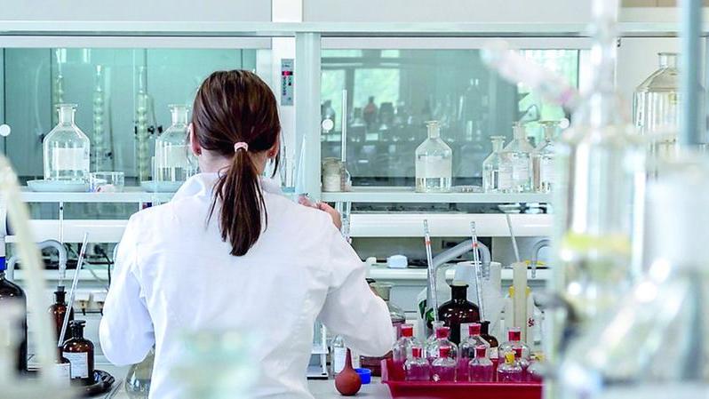 Nove ricercatori dell’Università di Sassari tra i migliori scienziati al mondo