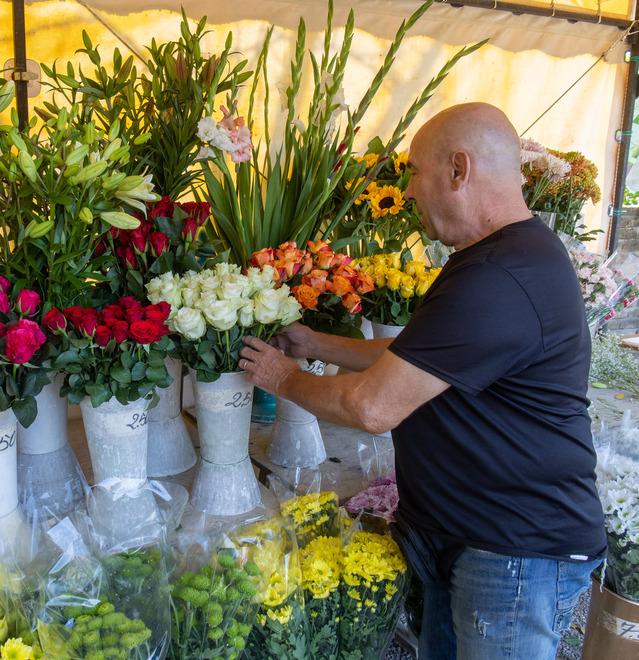 Ferrara. Decoro delle tombe, cresce la spesa. Fiori per i defunti sempre più cari 