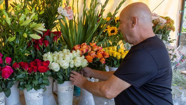 Ferrara. Decoro delle tombe, cresce la spesa. Fiori per i defunti sempre più cari