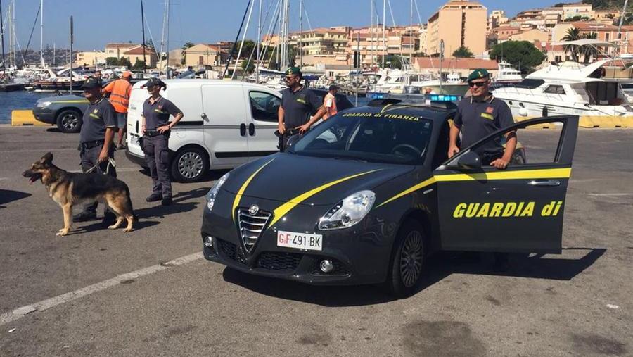 Controlli della guardia di finanza con l'ausilio dei cani antidroga