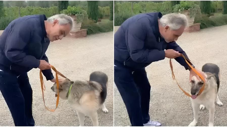 Bocelli adotta un cane rimasto sordo e ferito in Ucraina: in Italia arriva Jack – Video