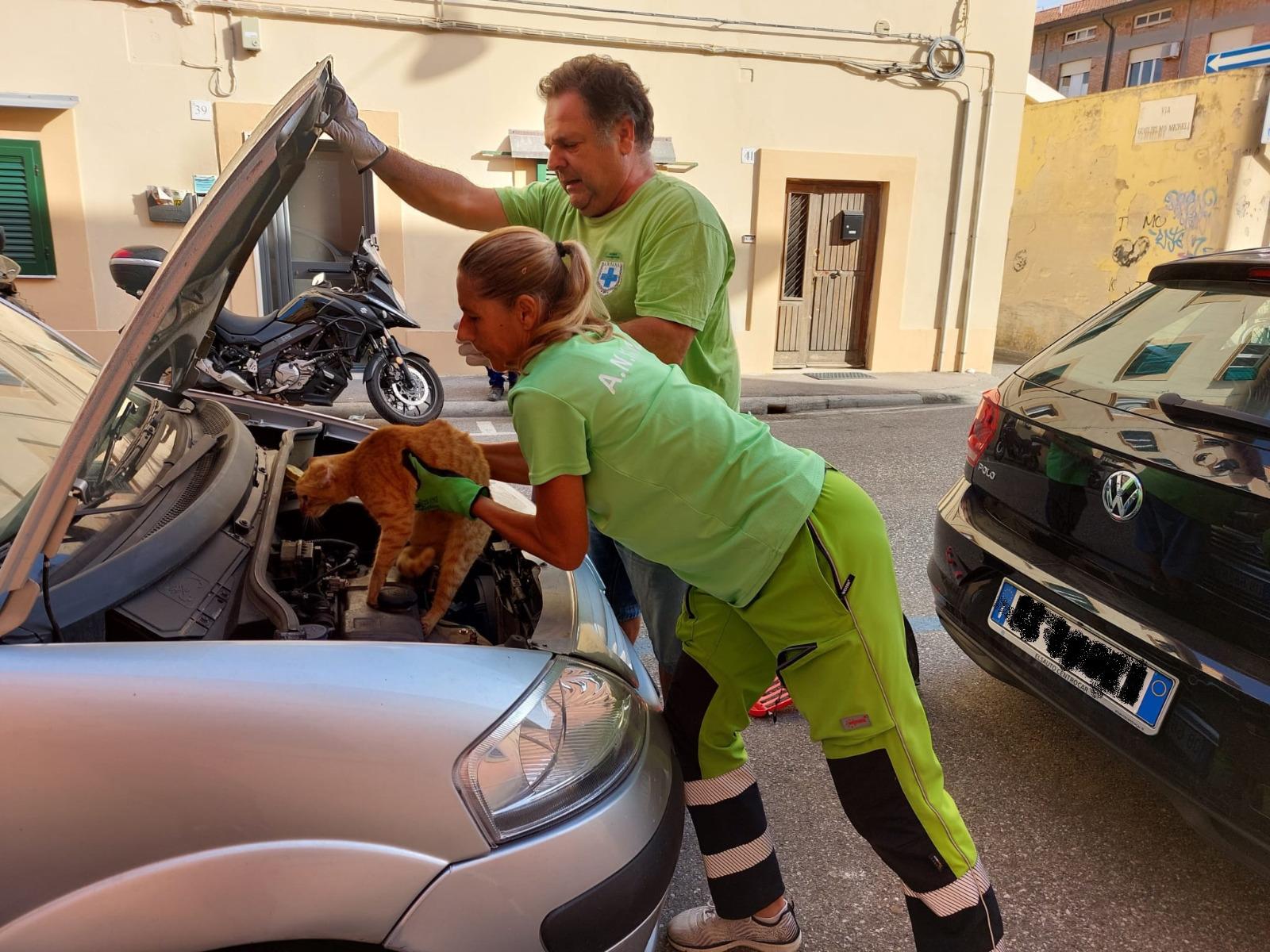 Il salvataggio di Anpana