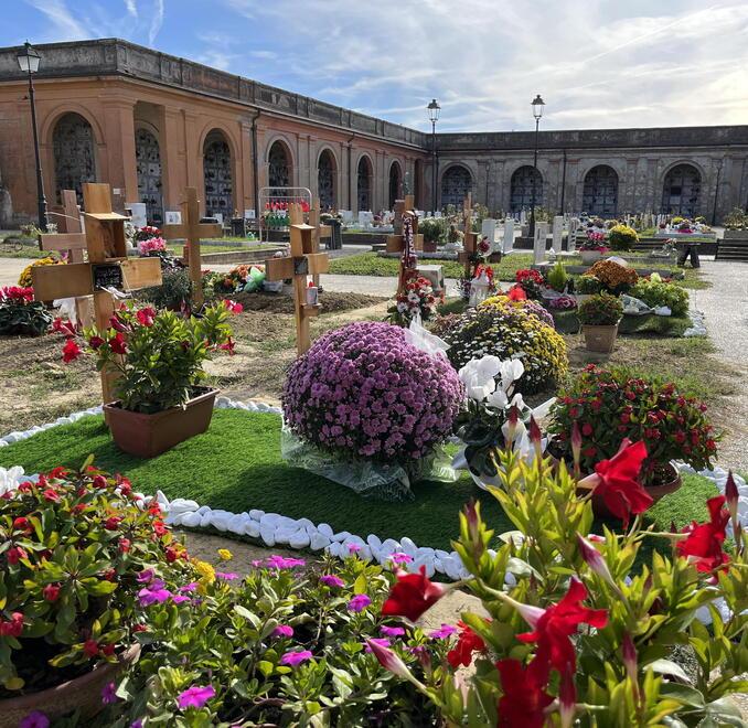 Rincari e defunti: prezzi dei fiori alle stelle per le festività