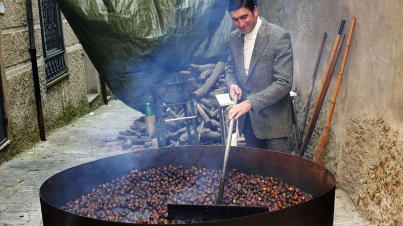 La castagna Igp soffre la concorrenza di quelle estere e rimane sugli alberi: la battaglia per difenderla
