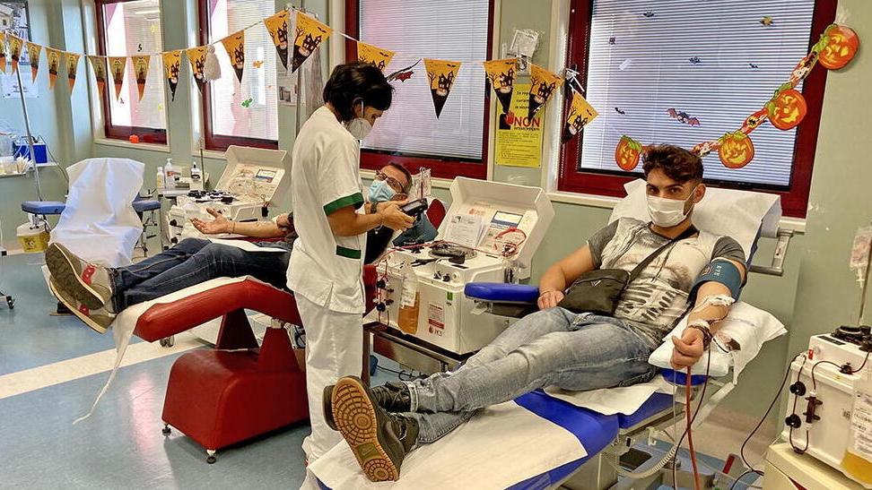 Cecina, donazioni di sangue in aumento. «Così miglioro la vita degli altri»