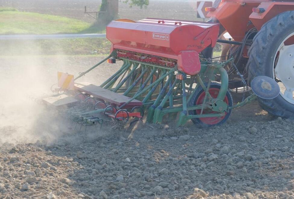 Ferrara. La siccità mina la semina: «Chicchi arsi e terra secca»