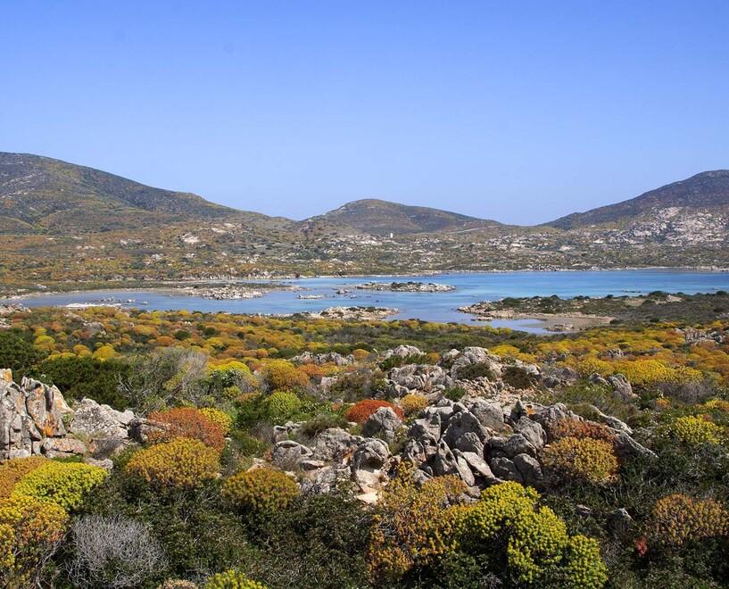 Le biodiversità  peculiari dell’Asinara protagoniste alla Biennale di Venezia 