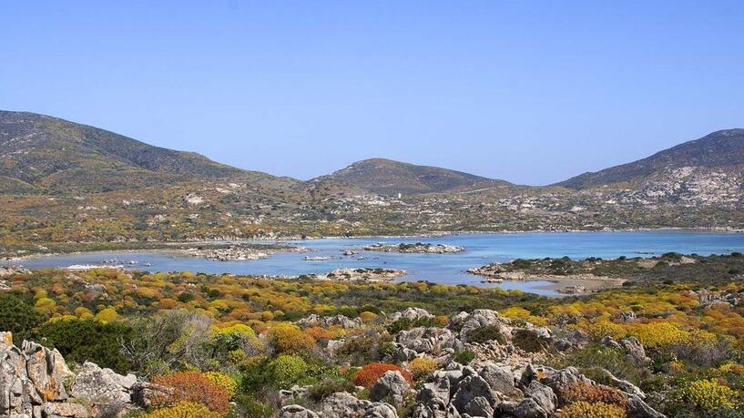 Le biodiversità peculiari dell’Asinara protagoniste alla Biennale di Venezia