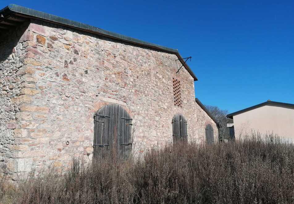 Parco di Montioni, passano al Comune gli edifici Stalloni: sono chiusi dal 2015