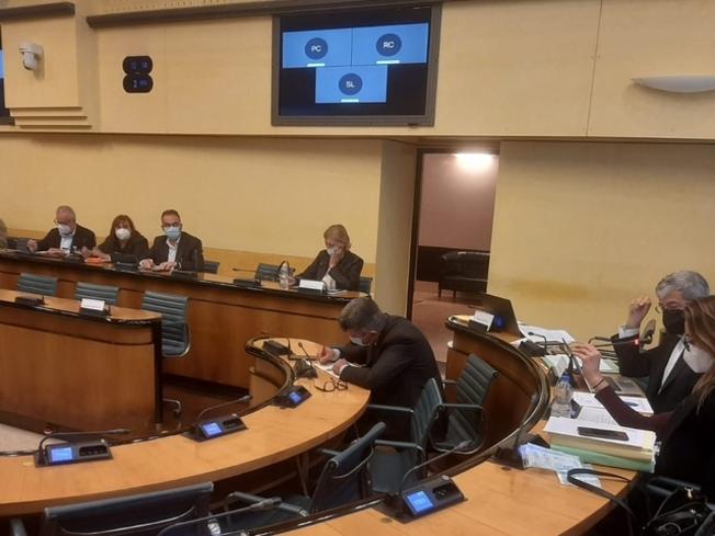 Comunicato Stampa: CRV - Prima commissione - Bilancio Regione del Veneto 2023-2025: giornata dedicata alle audizioni