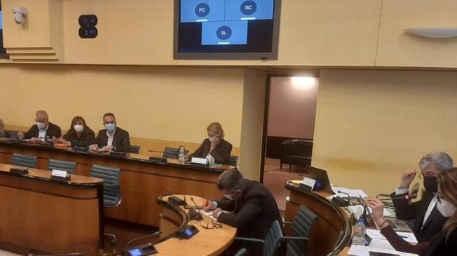 Comunicato Stampa: CRV - Prima commissione - Bilancio Regione del Veneto 2023-2025: giornata dedicata alle audizioni