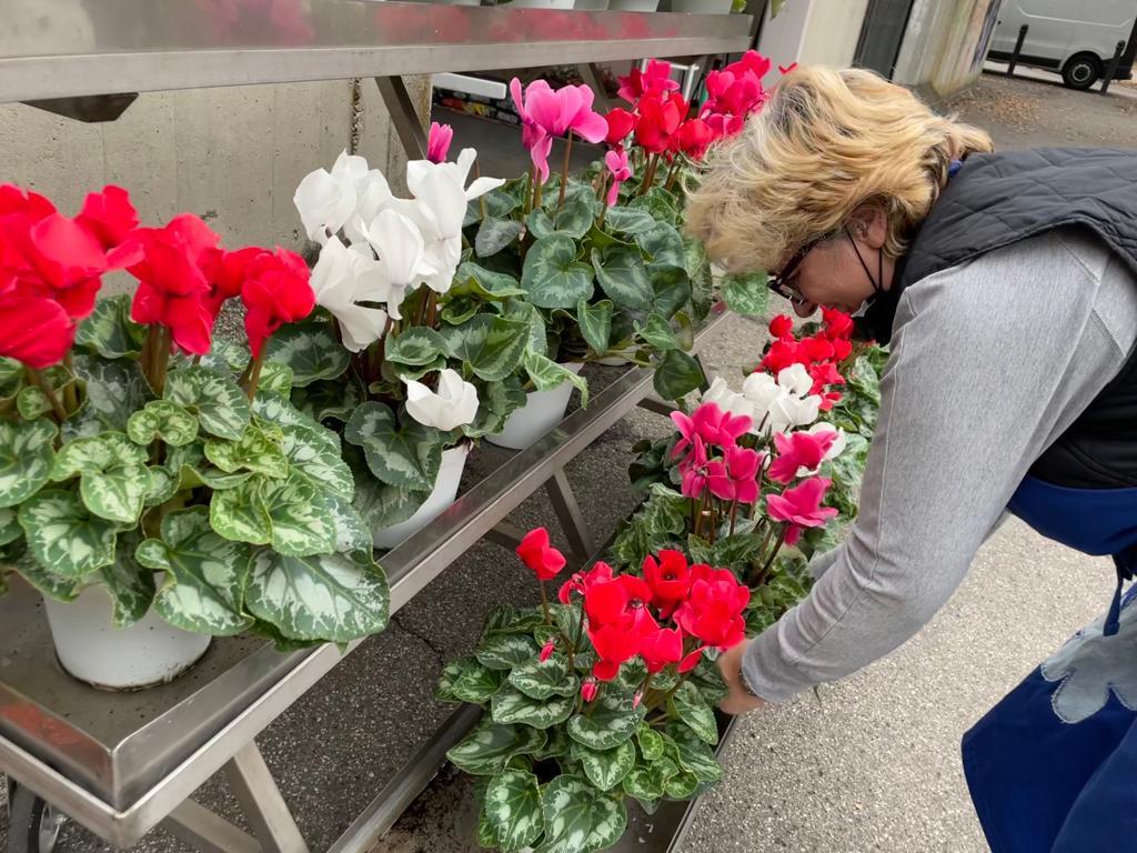 Ora anche i fiori costano di più: rincari del 40%