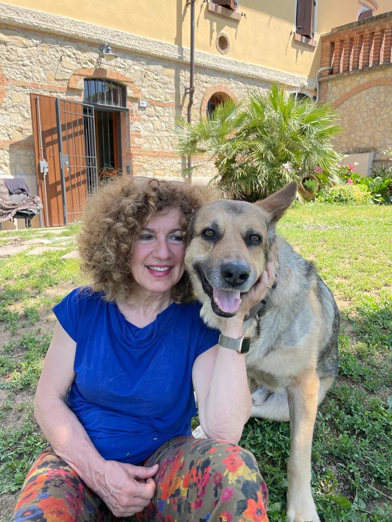 I canili sono pieni di razza pitbull ma ritrovare un’adozione è difficile