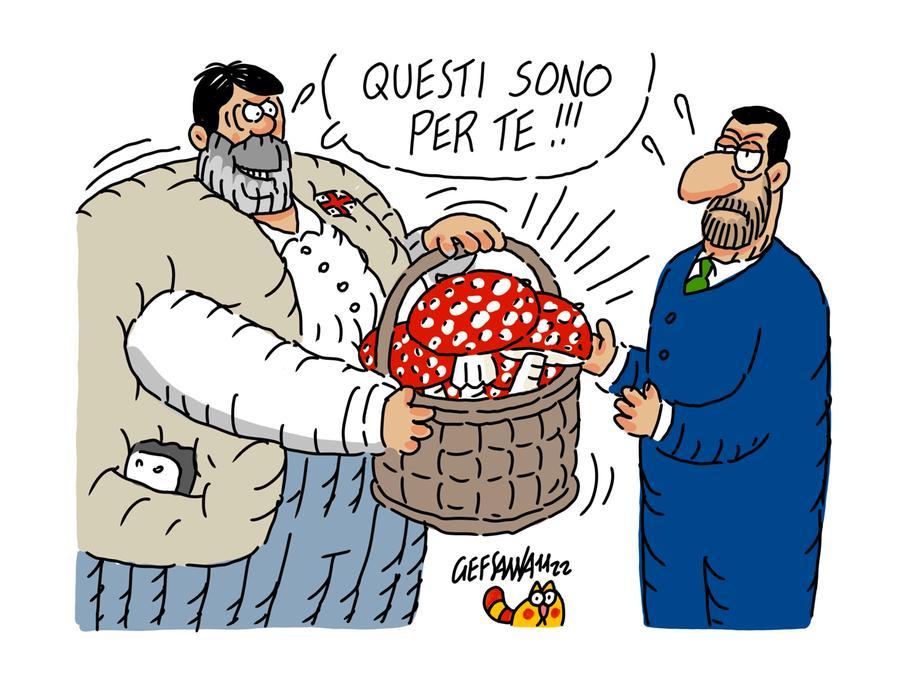 La vignetta di Gef: raccolta dei funghi, già quattro intossicati