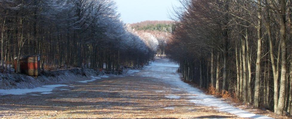 Una pista prima dell'innevamento